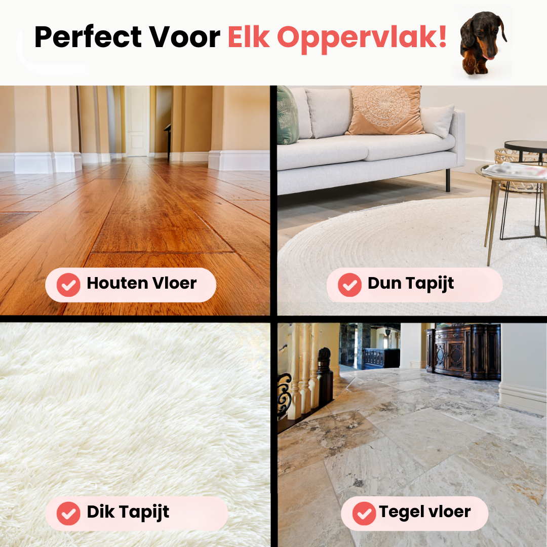 Huisdier & Co Stimulatie Bundel | Veilig en Duurzaam Speelgoed voor Honden en Katten