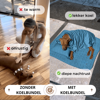 CoolPaw Koelmat | verkoelende hondenmat (1+1) complete set