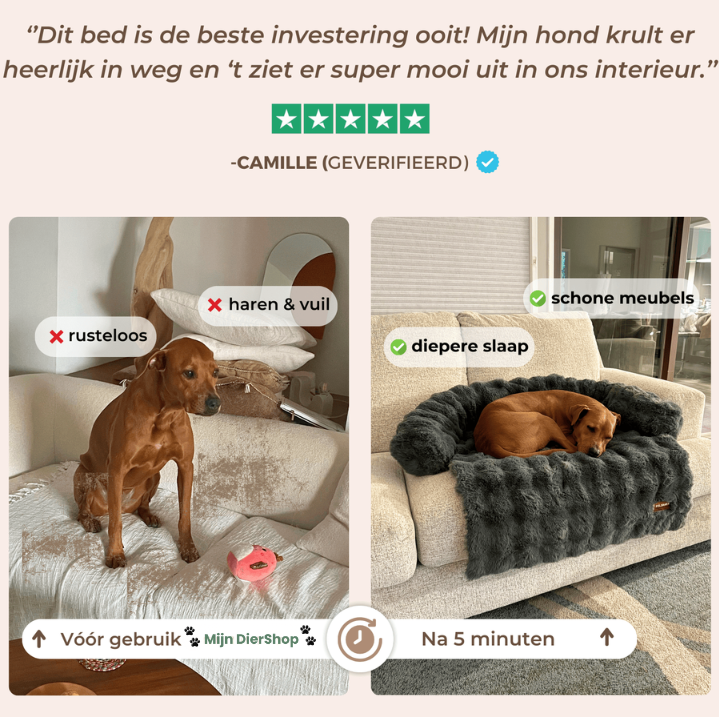 Mijn DierShop Hondenbed | Comfortabel, Duurzaam, Verhoogde Randen voor Grote Honden