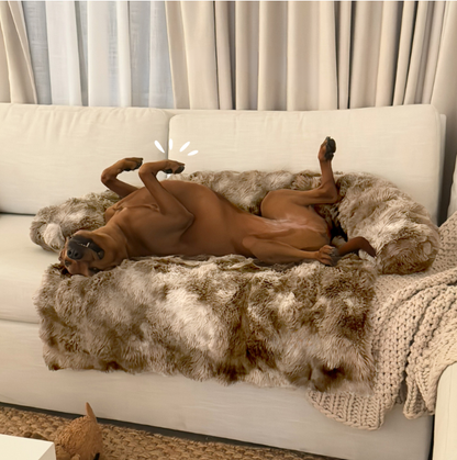 Mijn DierShop Hondenbed | Comfortabel, Duurzaam, Verhoogde Randen voor Grote Honden