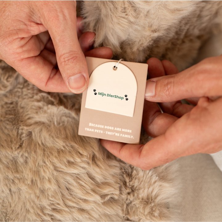 Mijn DierShop Hondenbed | Comfortabel, Duurzaam, Verhoogde Randen voor Grote Honden