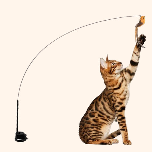 Mijn DierShop® Vogel Jacht-Simulator Set Original