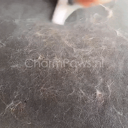 Mijn DierShop® Dubbelzijdige Huisdierhaar Verwijderaar