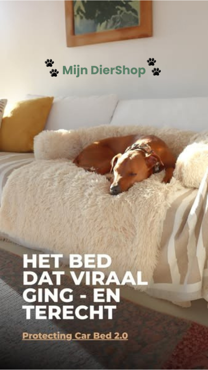 Mijn DierShop Hondenbed | Comfortabel, Duurzaam, Verhoogde Randen voor Grote Honden