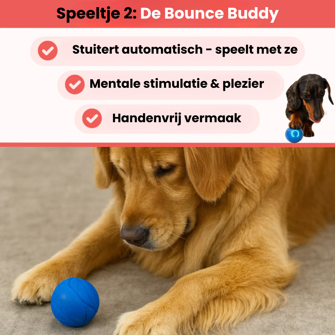 Huisdier & Co Stimulatie Bundel | Veilig en Duurzaam Speelgoed voor Honden en Katten