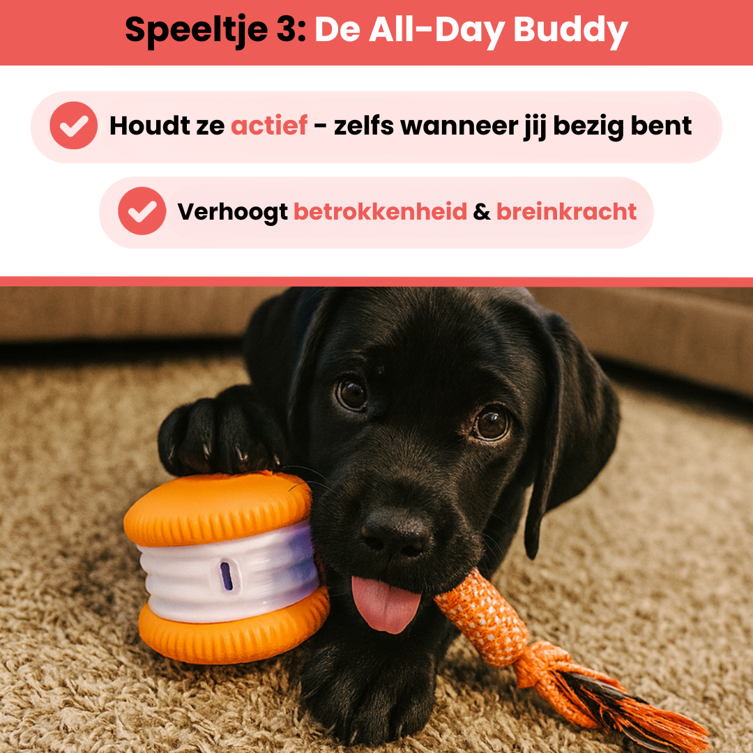 Huisdier & Co Stimulatie Bundel | Veilig en Duurzaam Speelgoed voor Honden en Katten