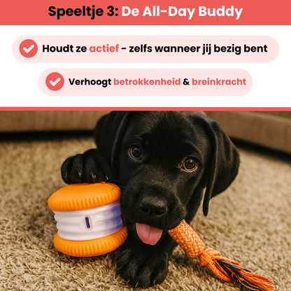 Huisdier & Co Stimulatie Bundel | Veilig en Duurzaam Speelgoed voor Honden en Katten