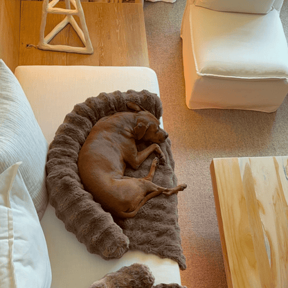 Mijn DierShop Hondenbed | Comfortabel, Duurzaam, Verhoogde Randen voor Grote Honden