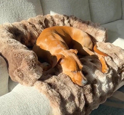 Mijn DierShop Hondenbed | Comfortabel, Duurzaam, Verhoogde Randen voor Grote Honden