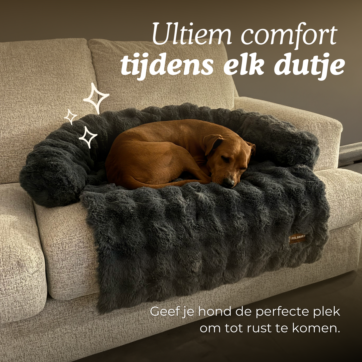 Mijn DierShop Hondenbed | Comfortabel, Duurzaam, Verhoogde Randen voor Grote Honden