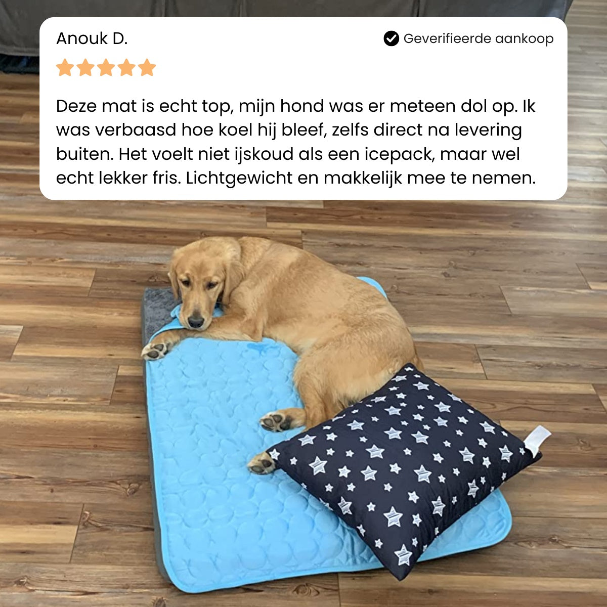 Pupcicle Koelmat
