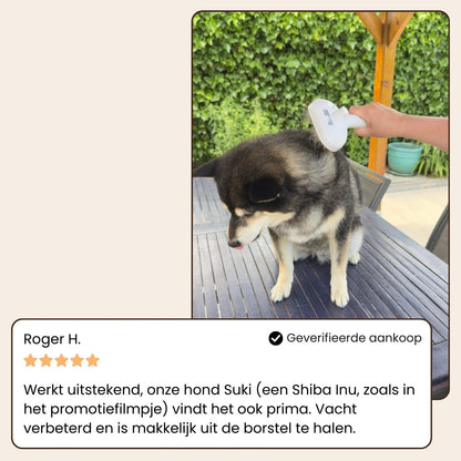 Steami Pro Stoomborstel