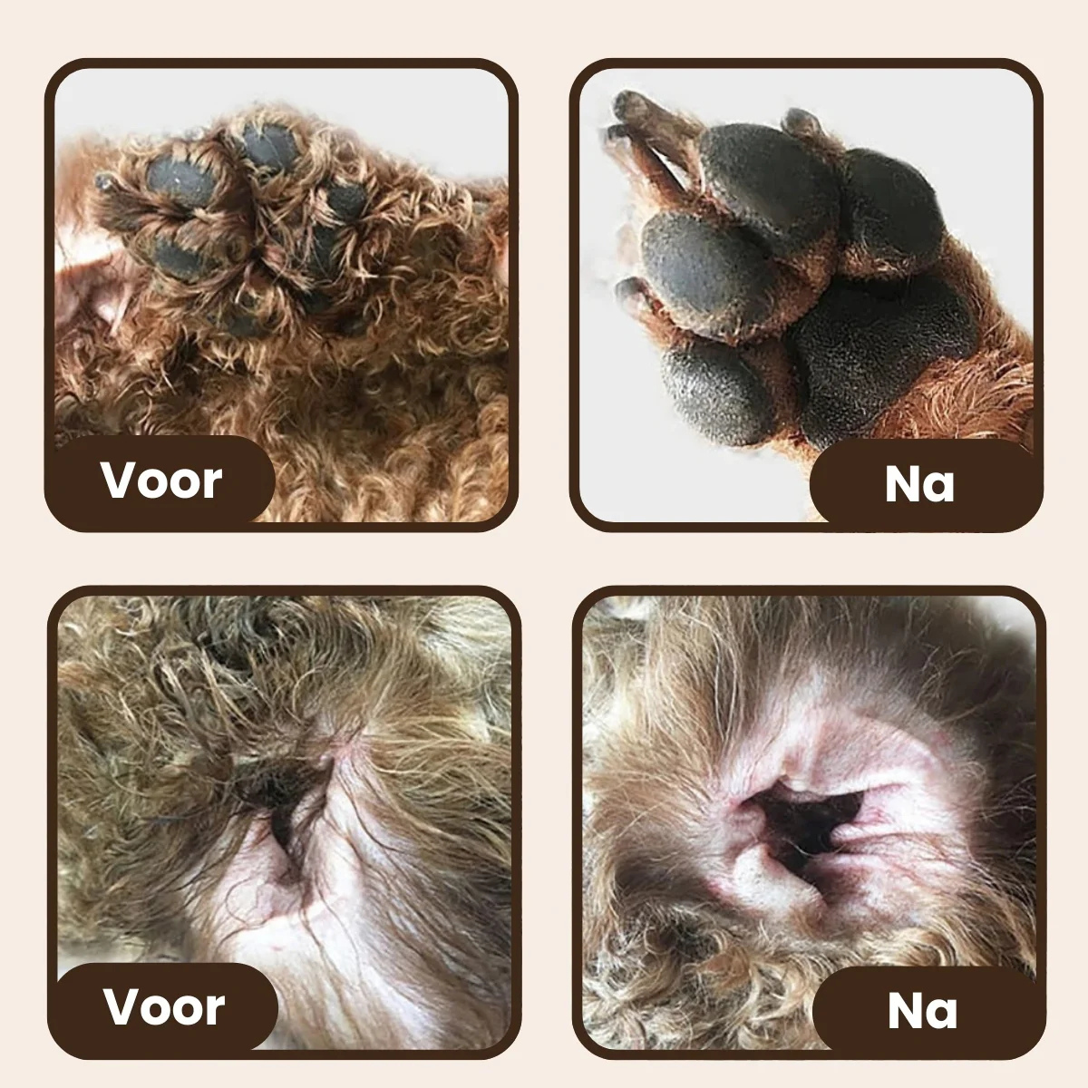 Mijn DierShop® Steami Pro Starter Set – Frisse Vacht – Vachtverzorging