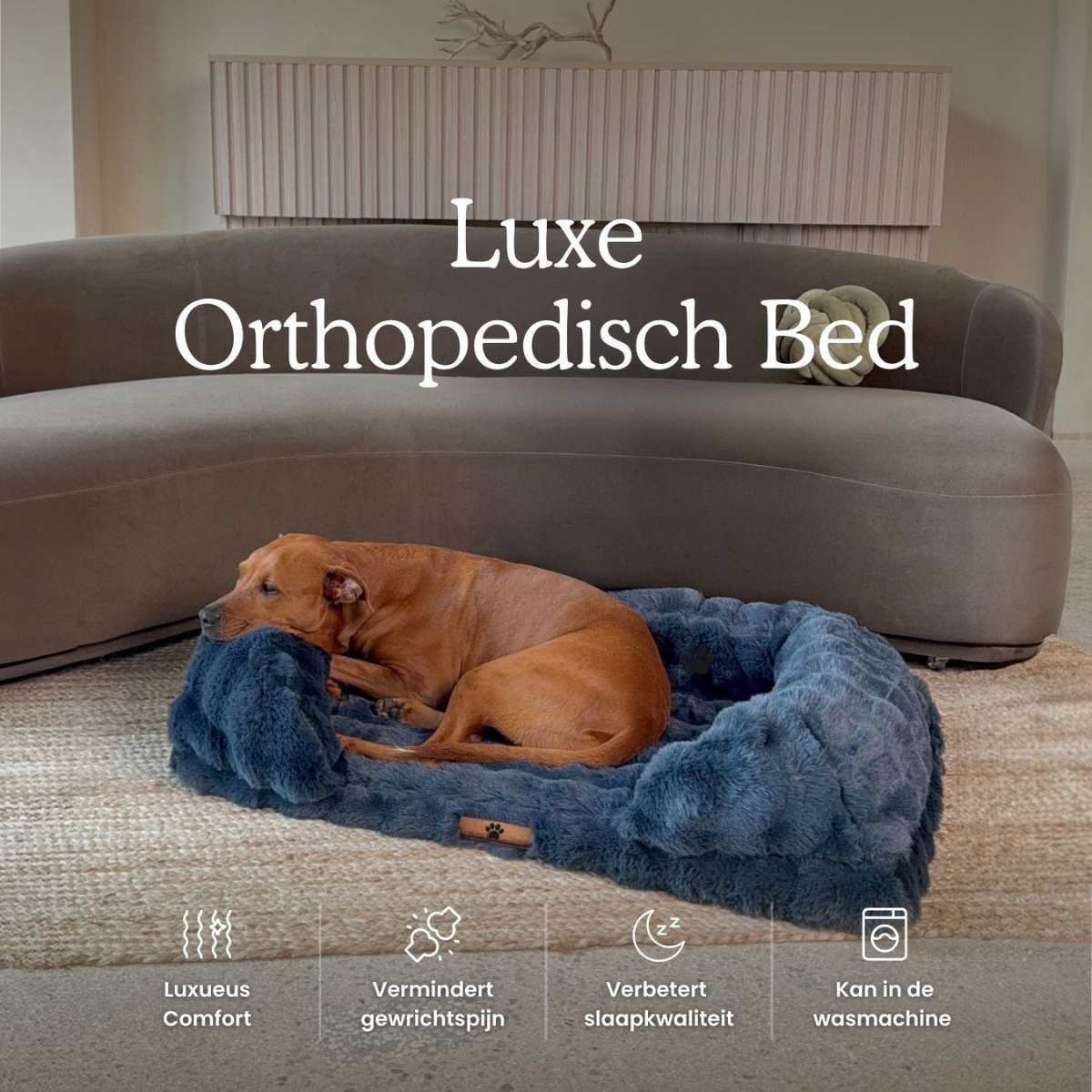 Mijn DierShop® Luxe Orthopedisch Bed