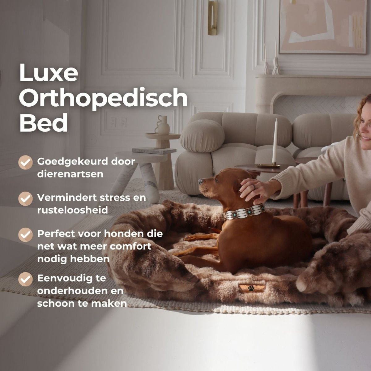Mijn DierShop® Luxe Orthopedisch Bed