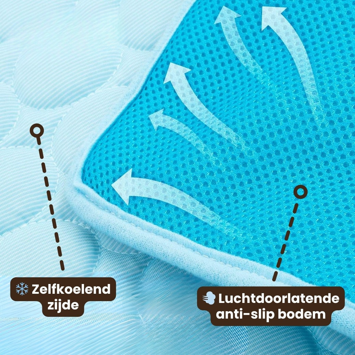 Pupcicle Koelmat