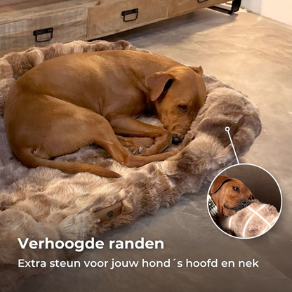 Mijn DierShop® Luxe Orthopedisch Bed