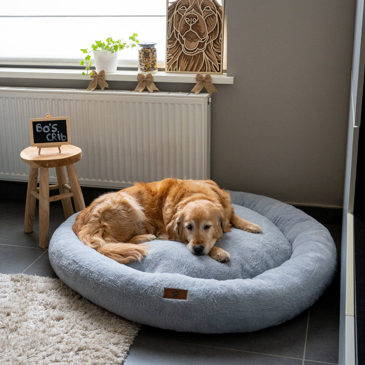 Mijn DierShop® Orthopedische Donutmand
