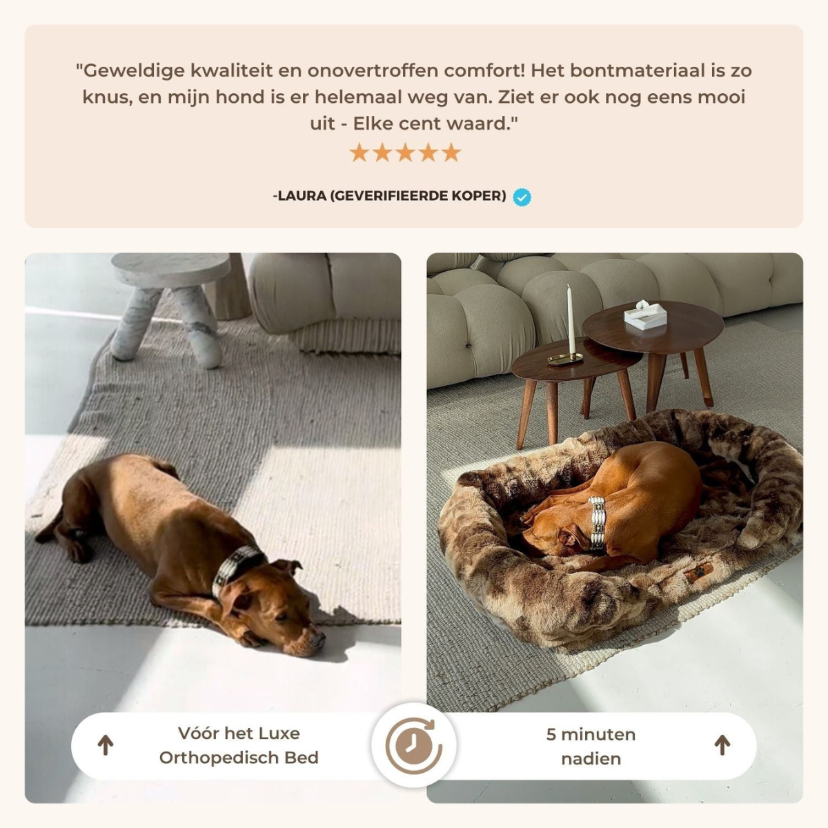Mijn DierShop® Luxe Orthopedisch Bed