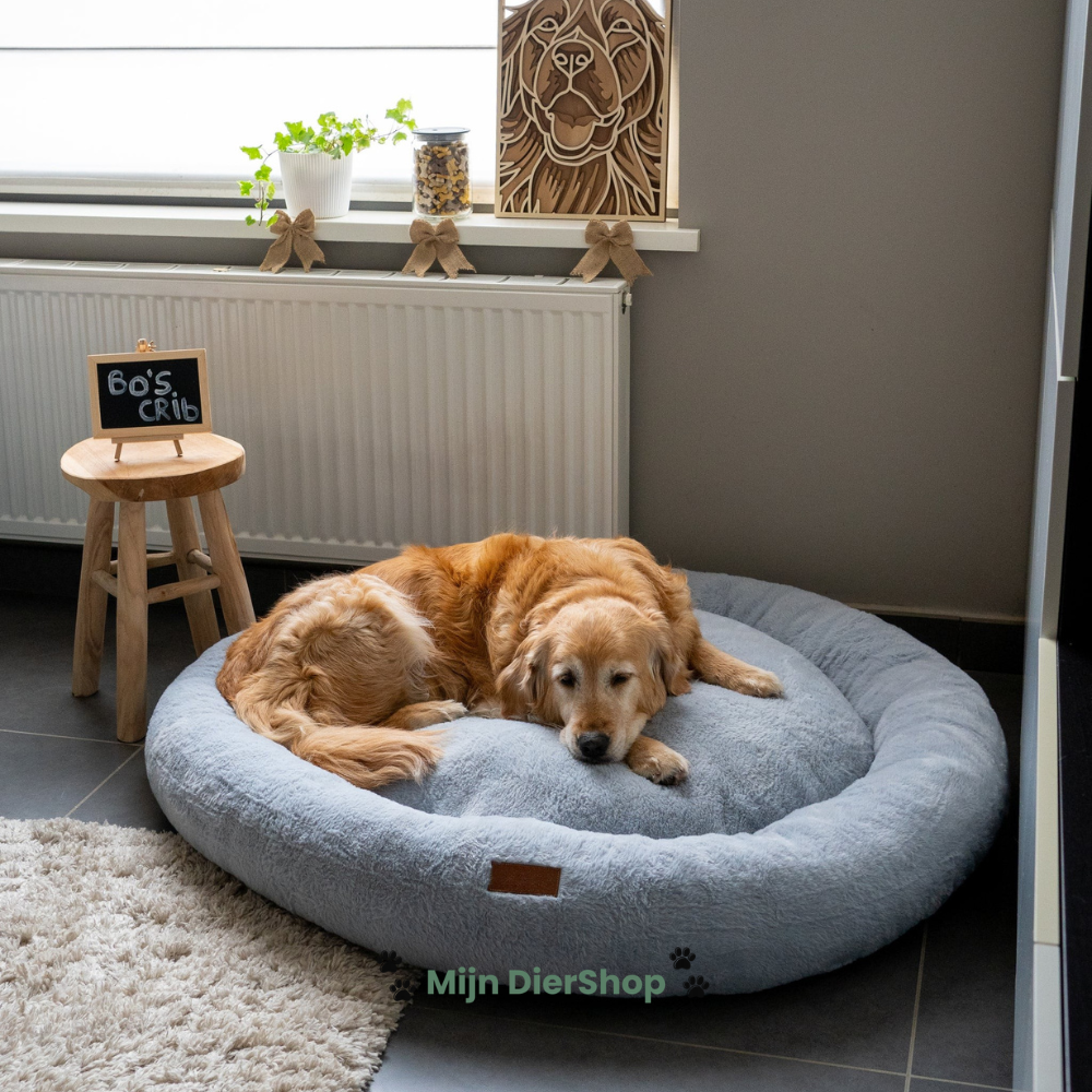 Mijn DierShop Orthopedische Donutmand
