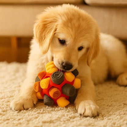 SnuffelAvontuur Bal | Interactief Hondenspeeltje voor Mentale Stimulatie