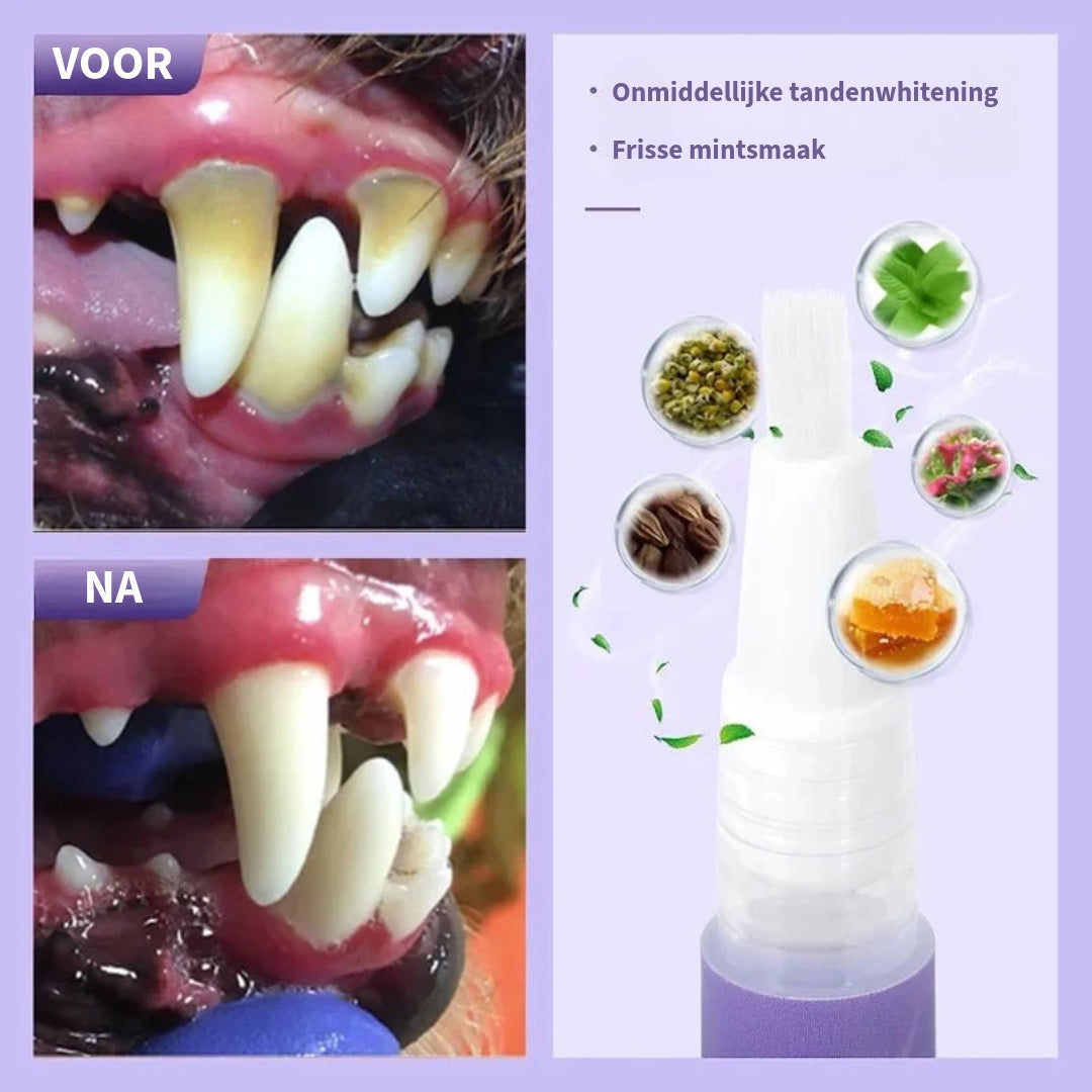 Mijn Diershop |Tand herstelgel voor Katten & Honden