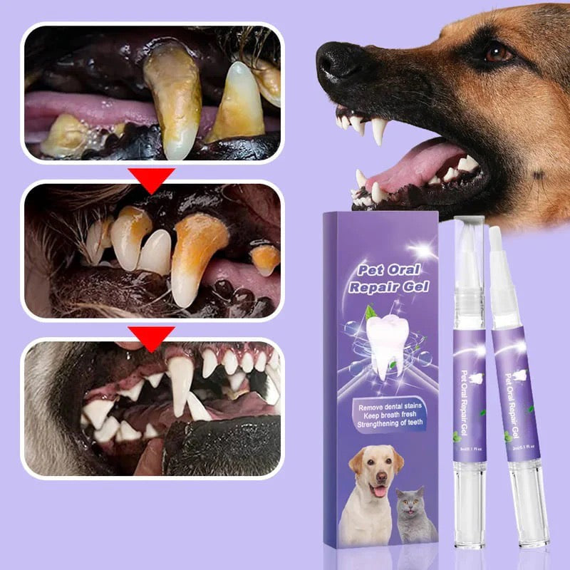 Mijn Diershop |Tand herstelgel voor Katten & Honden