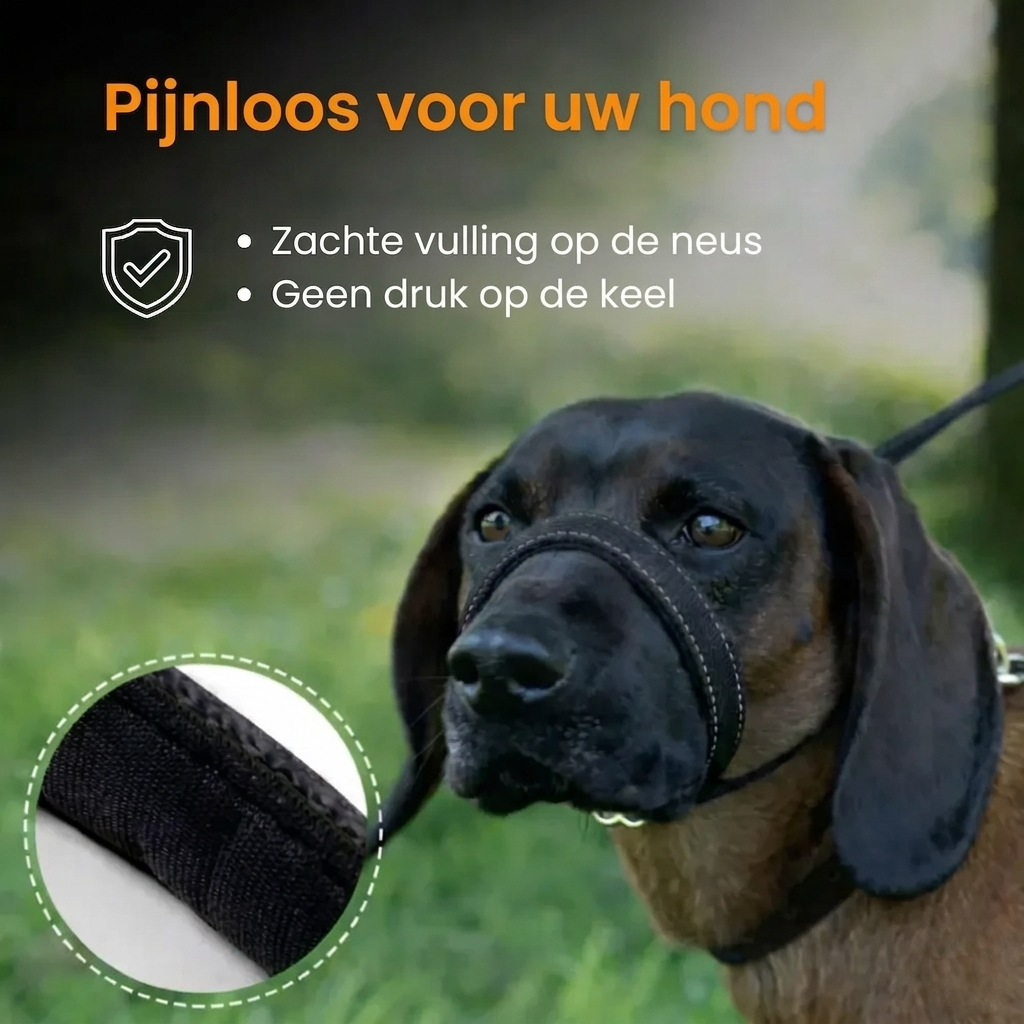 Pawly Wandelriem