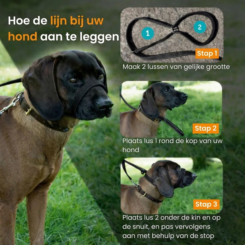 Pawly Wandelriem