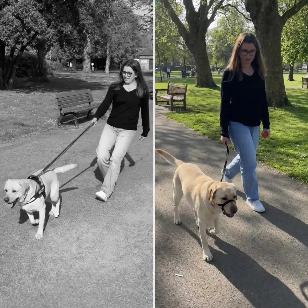 Pawly Wandelriem