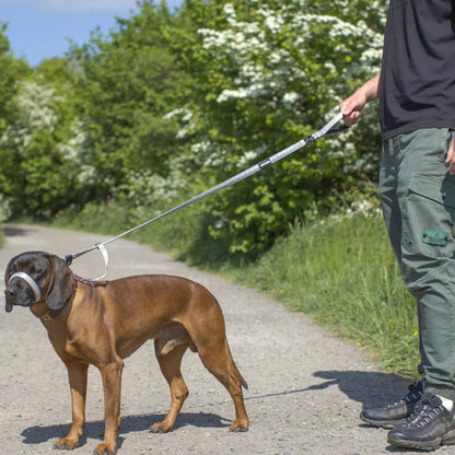 Pawly Wandelriem