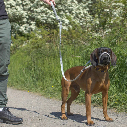 Pawly Wandelriem