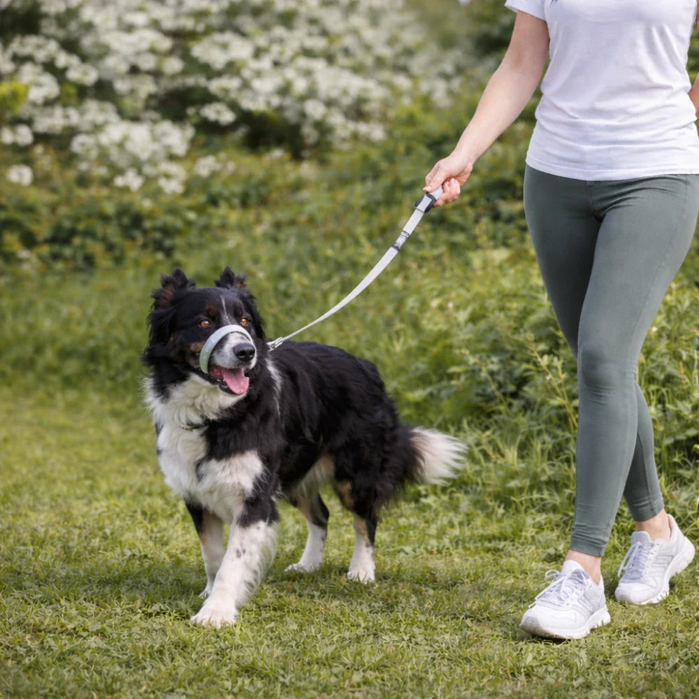 Pawly Wandelriem