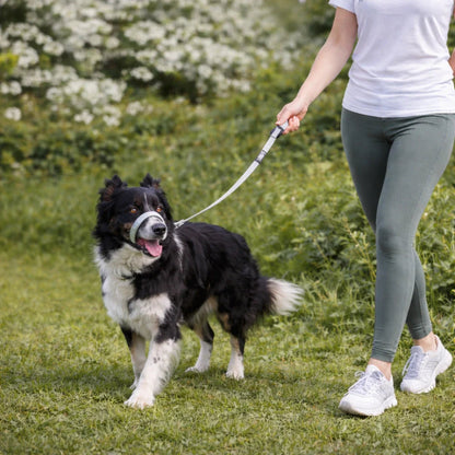 Pawly Wandelriem