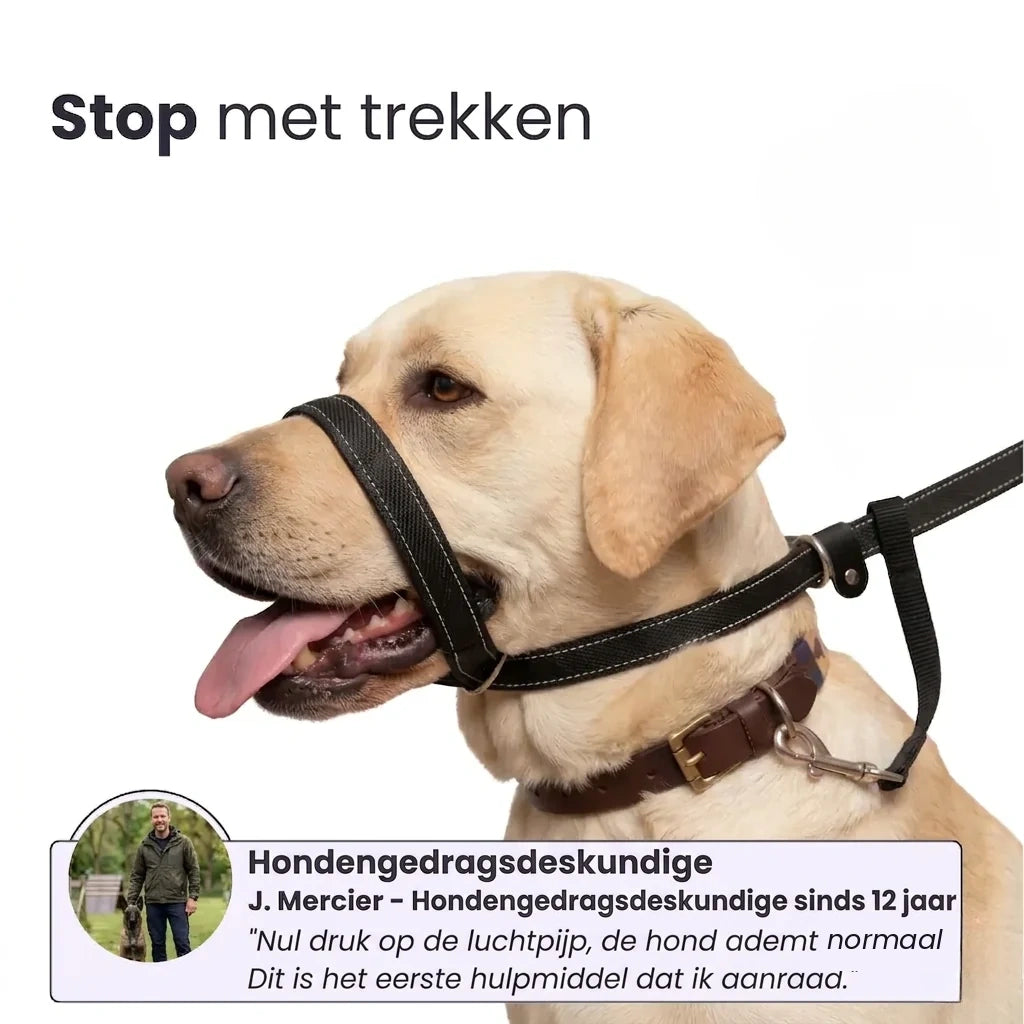 Pawly Wandelriem