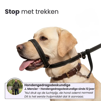 Pawly Wandelriem