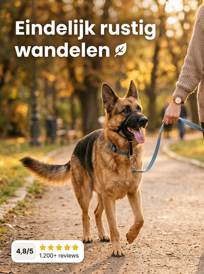 WandelVrij Riem