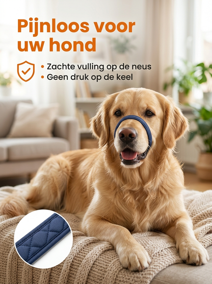 WandelVrij Riem